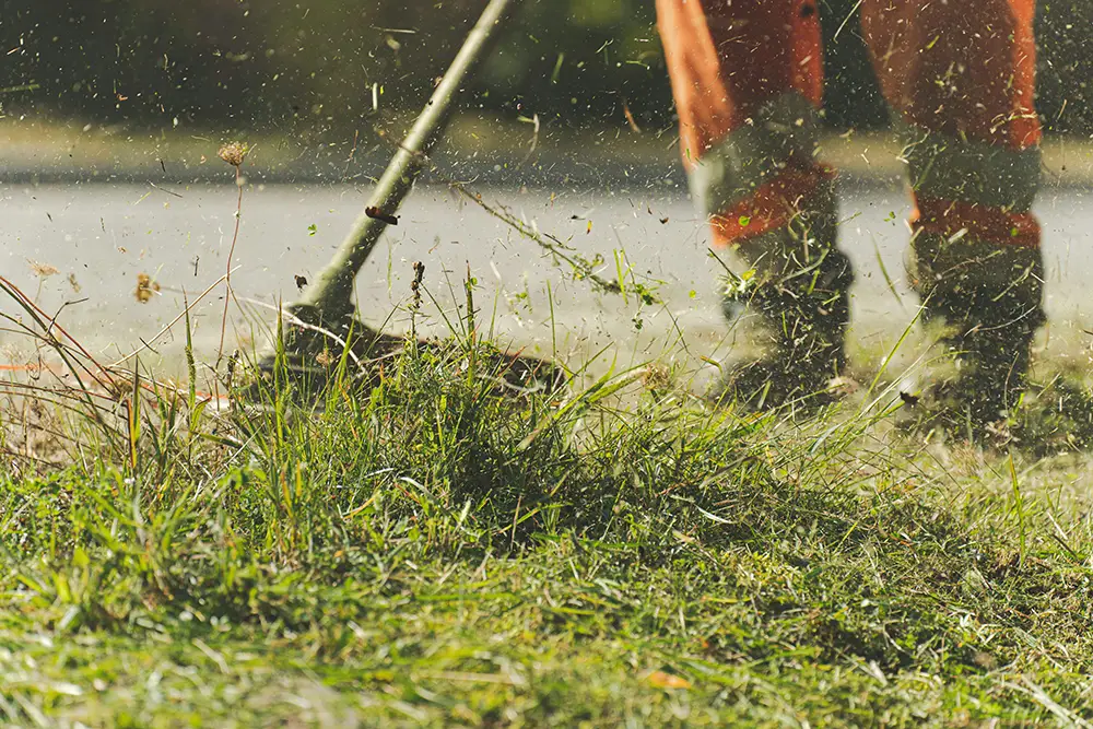 Débroussaillage d'un terrain par RD Couverture Élagage